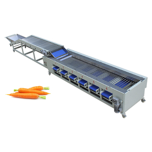 Máquina clasificadora óptica Máquina clasificadora de color de verduras Máquina clasificadora de color de cebolla Selector de color de patatas fritas - Product Image 6