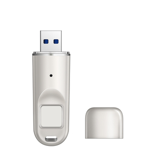 USB <strong>Memory</strong> Dsik USB Key Fingerprint <strong>Flash</strong> <strong>Memory</strong> 8G 32G 64G 128G 256G OEM ODM OBM - Product Image 3