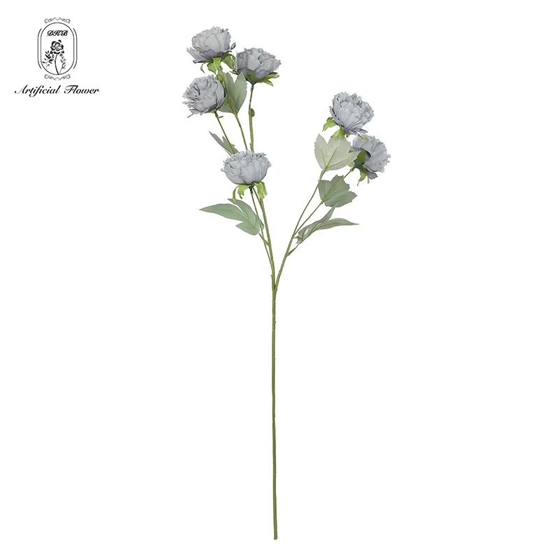 6 têtes roses