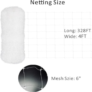 Weißes HDPE/PE/PP-Stütz netz für extrudierte Gitter pflanzen Kunden spezifisch geschnittene Kunststoff netze zum Schutz - Product Image 2