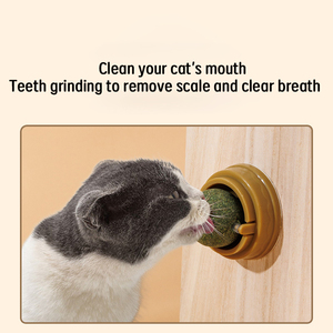 Productos más vendidos Suministros para mascotas Accesorios para gatos Juguete de comida para gatos Juguetes de hierba gatera para gatos Bola de menta Bola de hierba gatera - Product Image 3