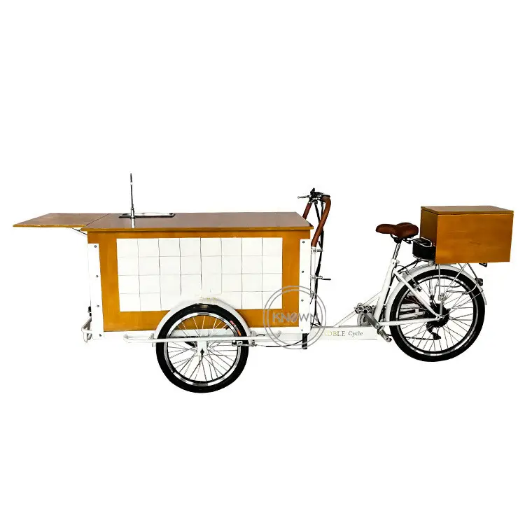 Chariot à café électrique OEM avec évier d'eau, Tricycle personnalisé, système de réservoir de Snack, vente de fruits, chariot d'alimentation, Tricycle, Cargo