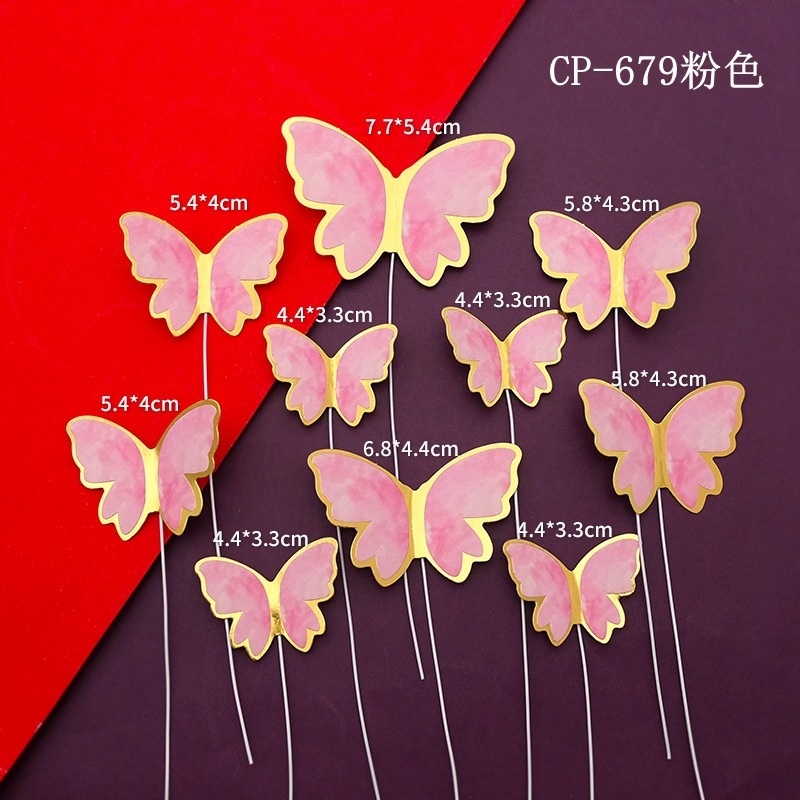 Rosa Cp-679