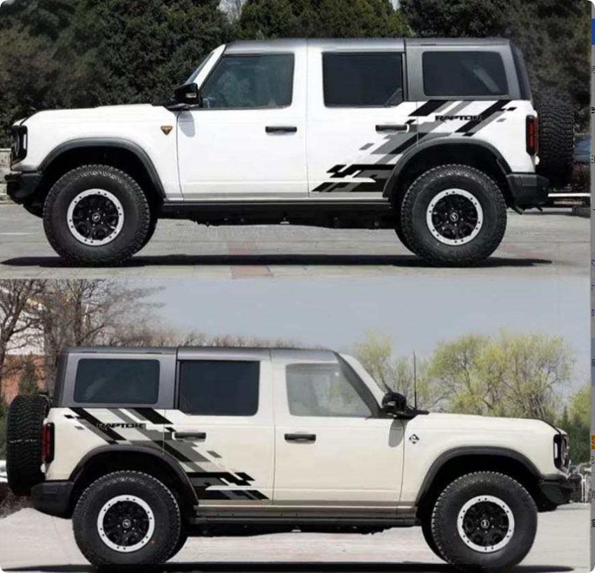 Negro Blanco Gris RAPTOR