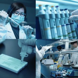 Sabernet CDV CAV CAV CAV adenovirus ทดสอบไวรัสไข้หวัดใหญ่ในสุนัขทดสอบ - Product Image 5