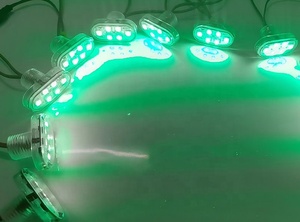 E14 45mm 6leds Auto programmato Rgb Led Pixel 24V Cabochon lampada da divertimento giostre illuminazione