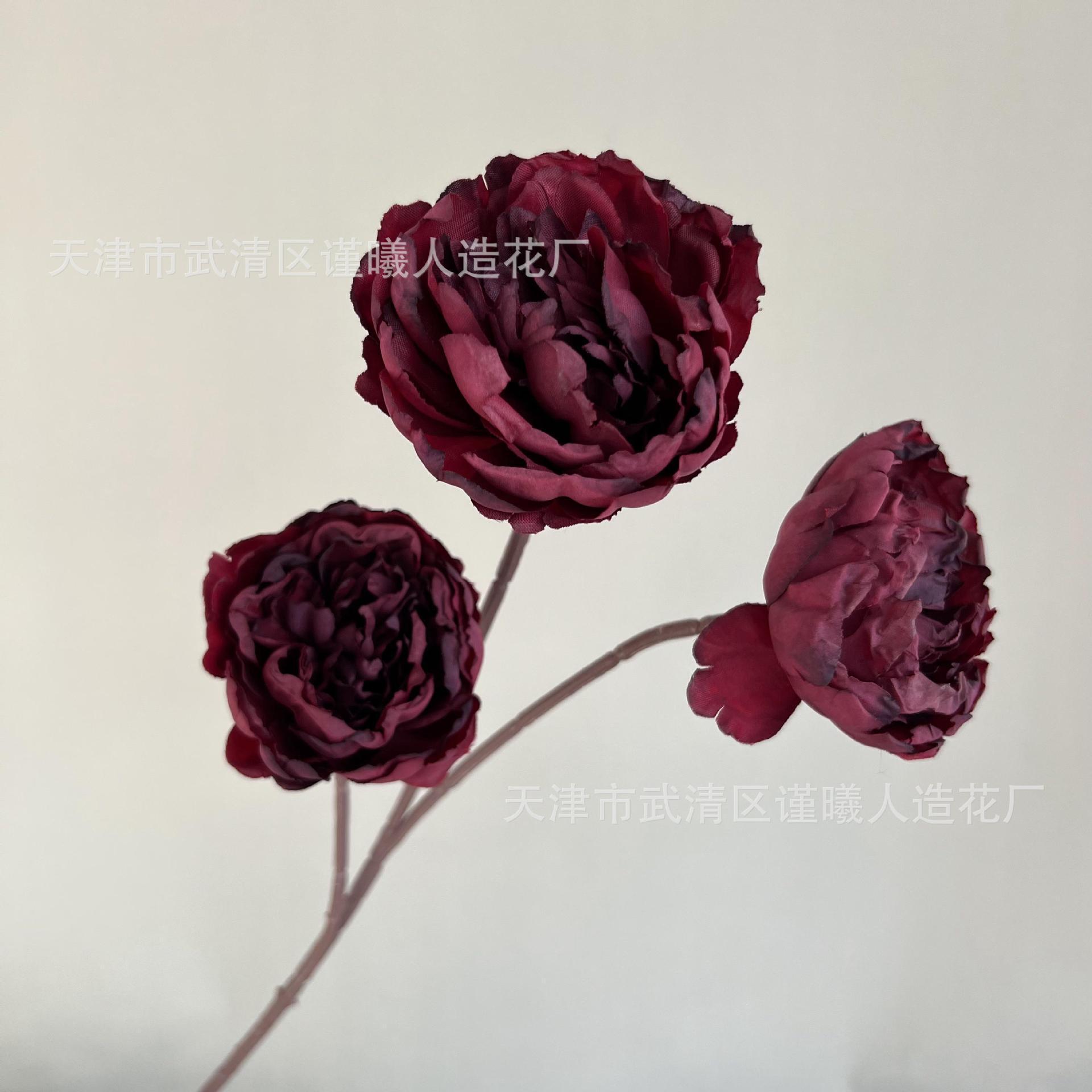 Pivoine flétrie - Rouge foncé