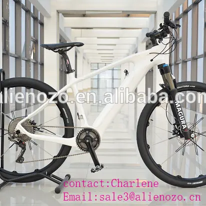 Alienozo गोल्ड प्रदायक चीन पुरुषों फ्लैश बिजली की मोटर बाइक साइकिल आसान सवारी दो पहियों/हल्के ebike