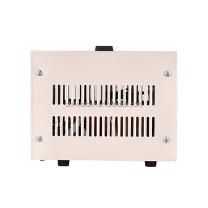 Sıcak satış 1kw AC voltaj sabitleyici 110V/220V otomatik sabit voltaj regülatörü aşırı yük koruması ile - Product Image 4