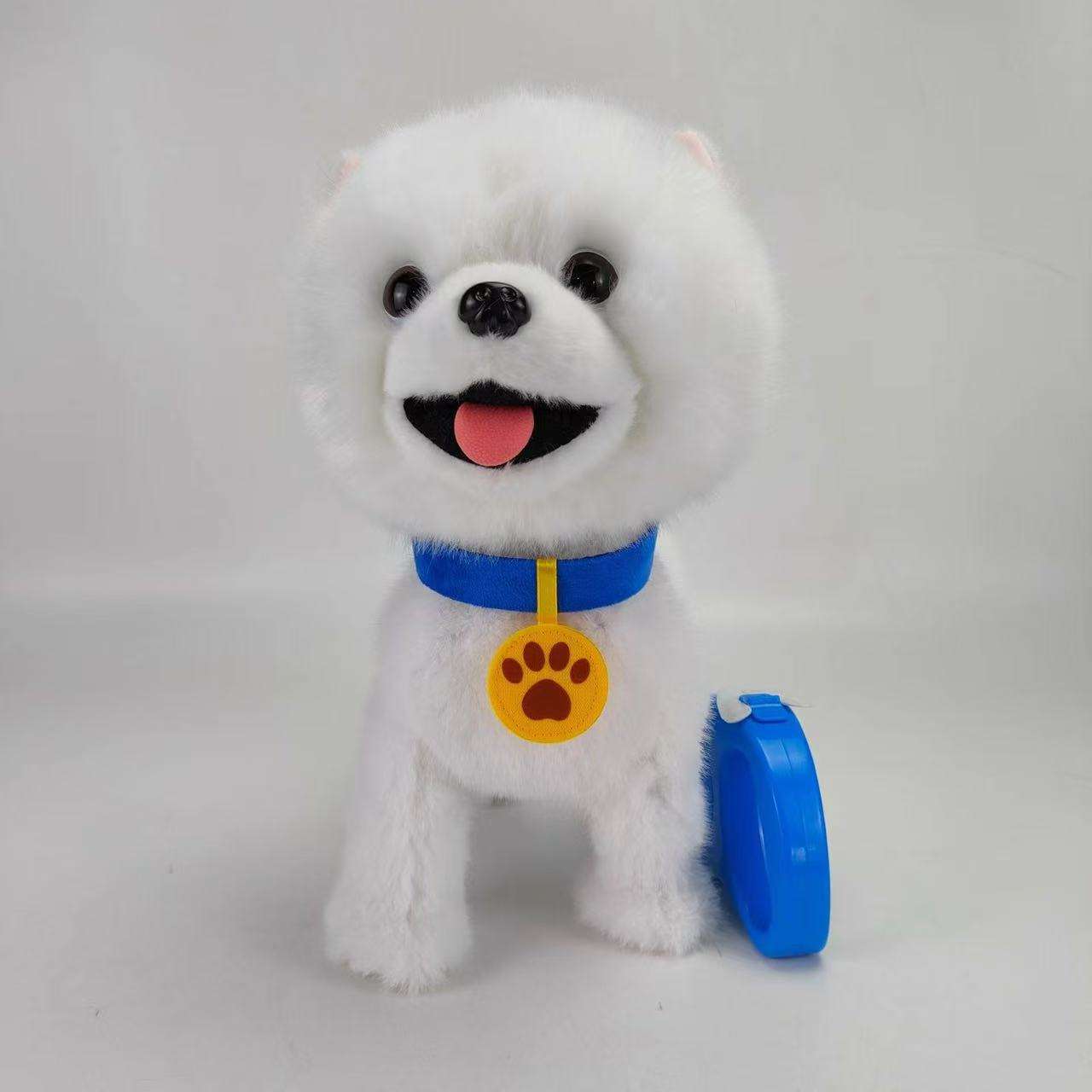 Satsuma blanc et magnifique