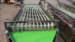 Factory Price Fruit plum Passion Sorter Potato Roller Size <strong>Sorting</strong> Machine apple Mango Walnut Date Garlic Grade Sorter - Product Image 2
