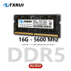 Txrui Laptop DDR5 Ram OEM DDR5 16GB 4800MHz 5200MHz 5600MHz Memoria Totalmente compatible RGB Computadora de escritorio DDR Ram