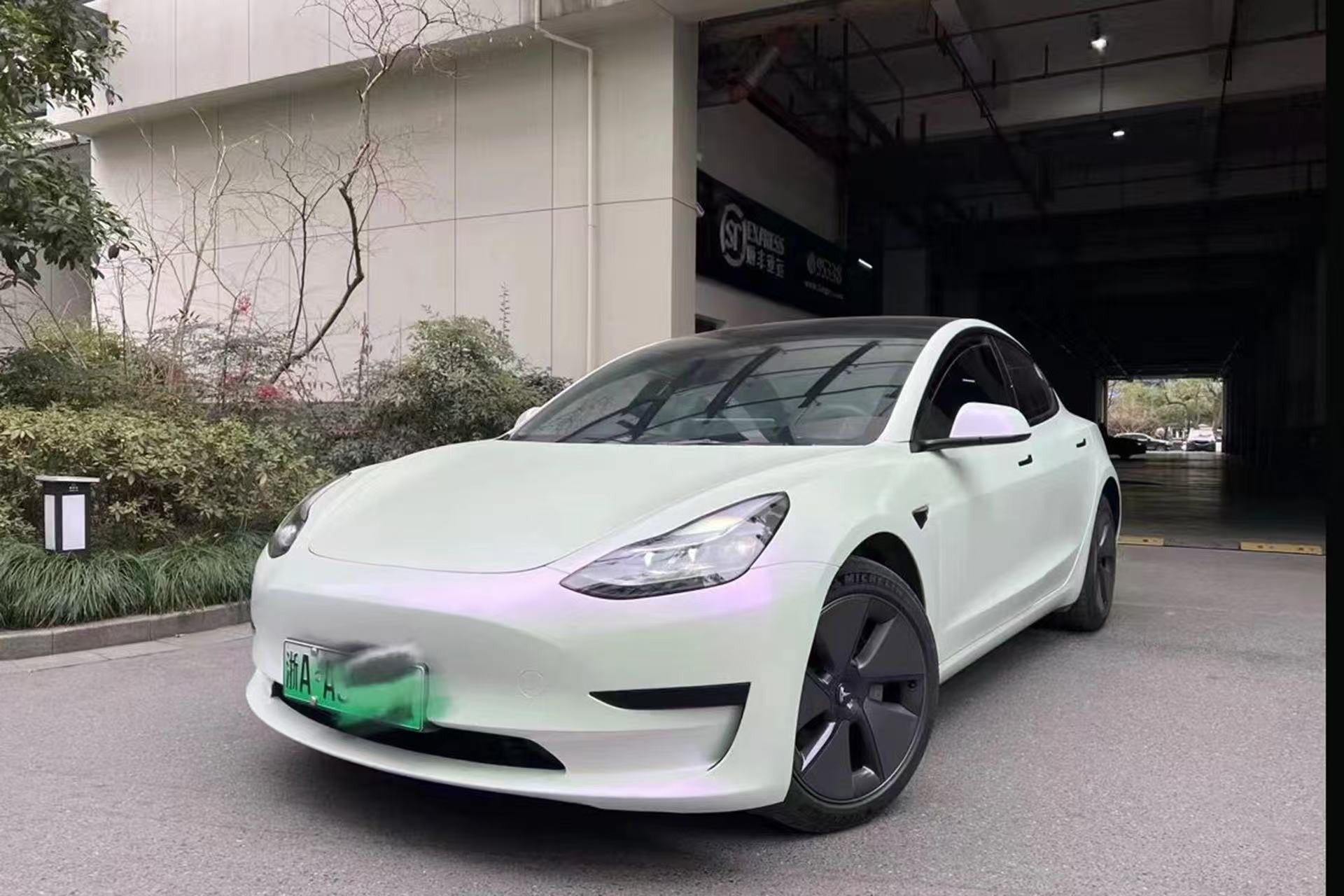 Pearl white to purple-Matte
