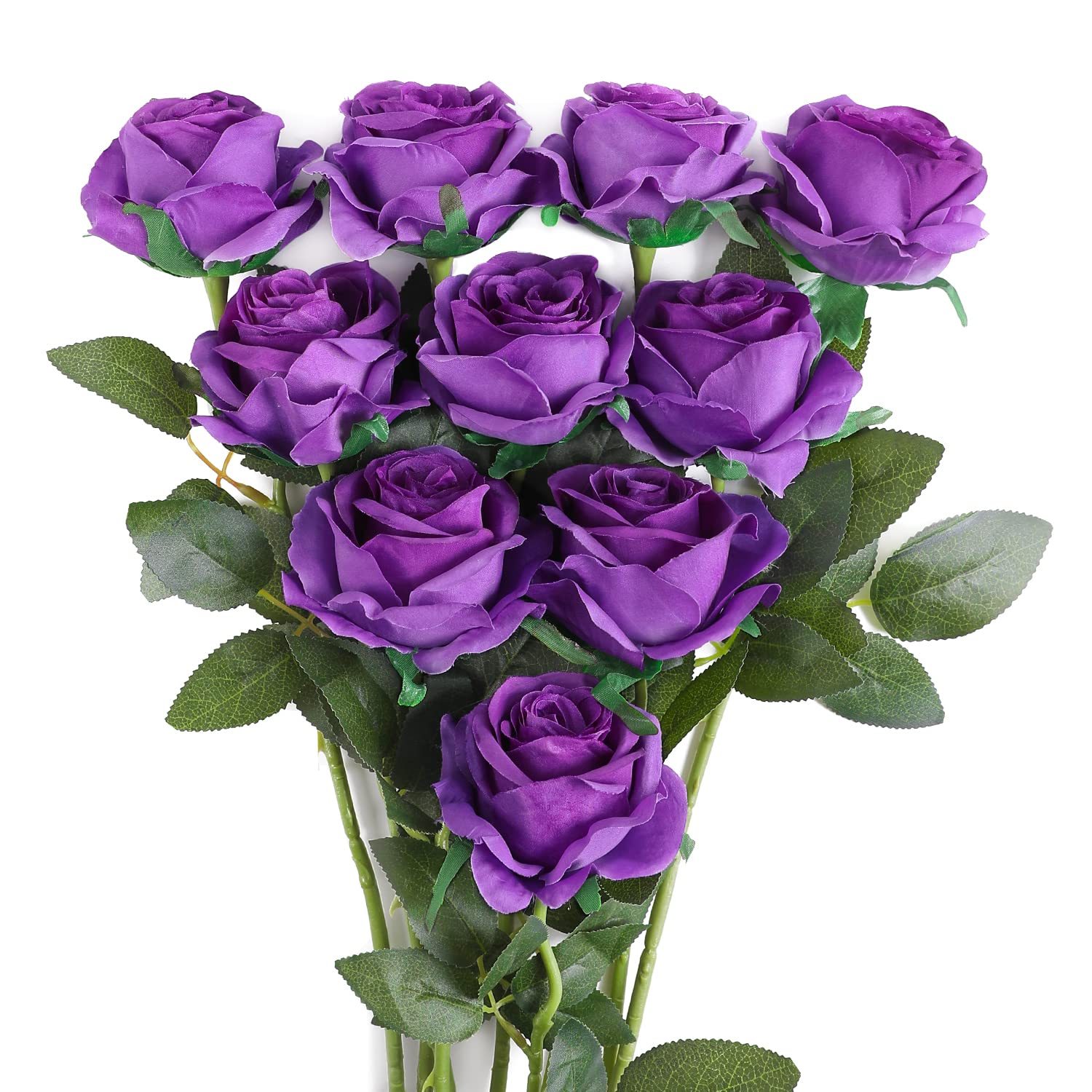 Pourpre