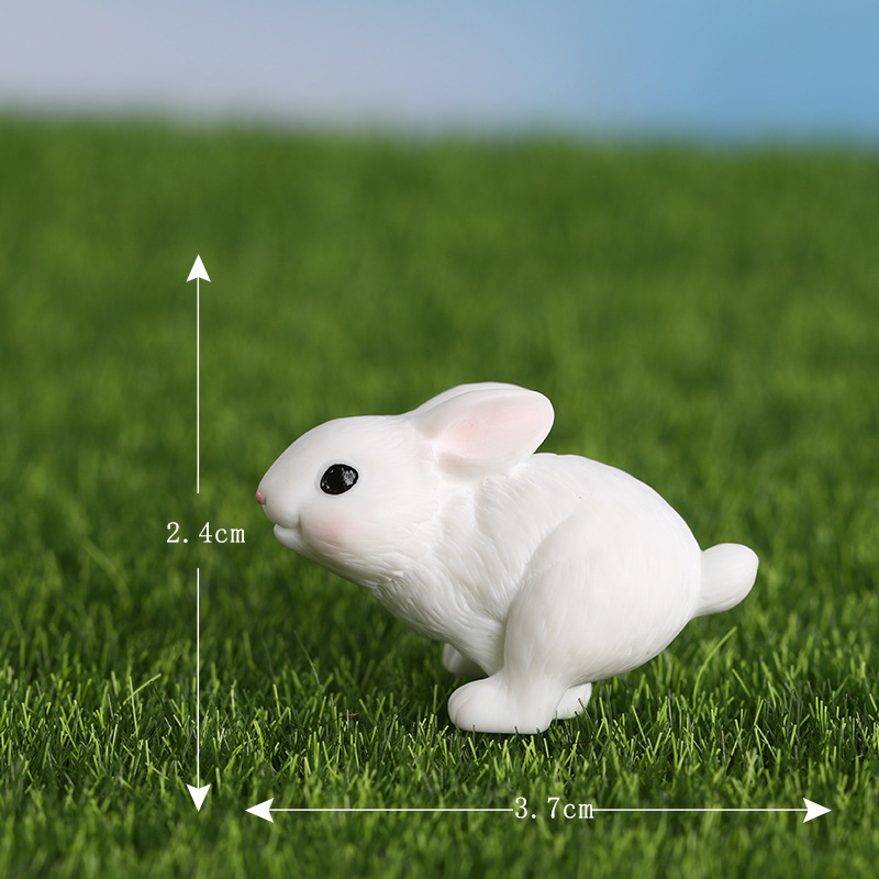 5#Rabbit
