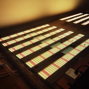 調光可能なフルスペクトル<span class=keywords><strong>1000</strong></span>ワット1000wLEDグローライト屋内LEDグローライト