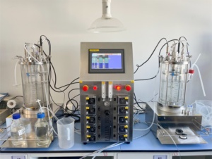Fermentor Bioreactor Magnetic Stirring Container Fermentation Tanks <strong>for</strong> Lab 5L - Product Image 2