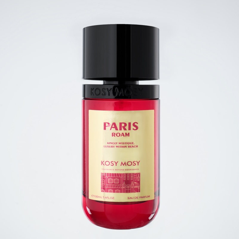 PARIS ROAM
