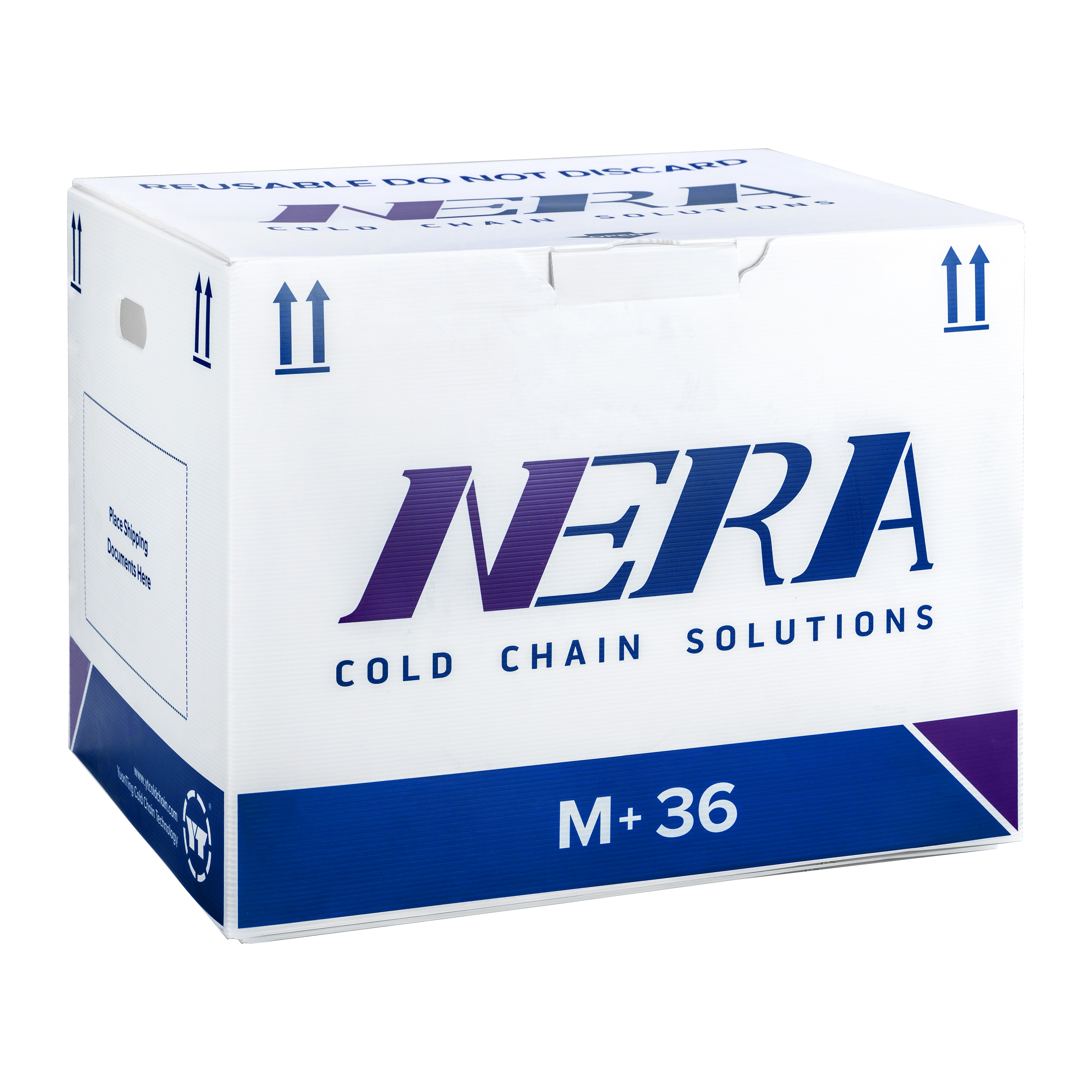 M+36