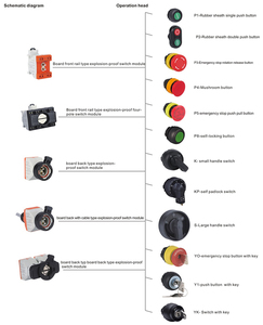 Patlamaya dayanıklı kontrol panelleri için ray montajlı çift basmalı düğme anahtarı - Product Image 6