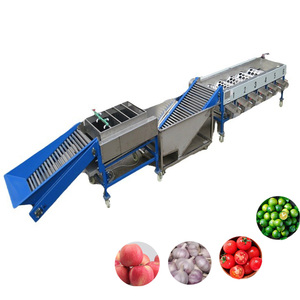 Macchina per la classificazione delle date ad alta capacità macchina per la classificazione delle patate alla ciliegia per la selezione di kiwi mela arancia Sorter di dimensioni regolabili - Product Image 5