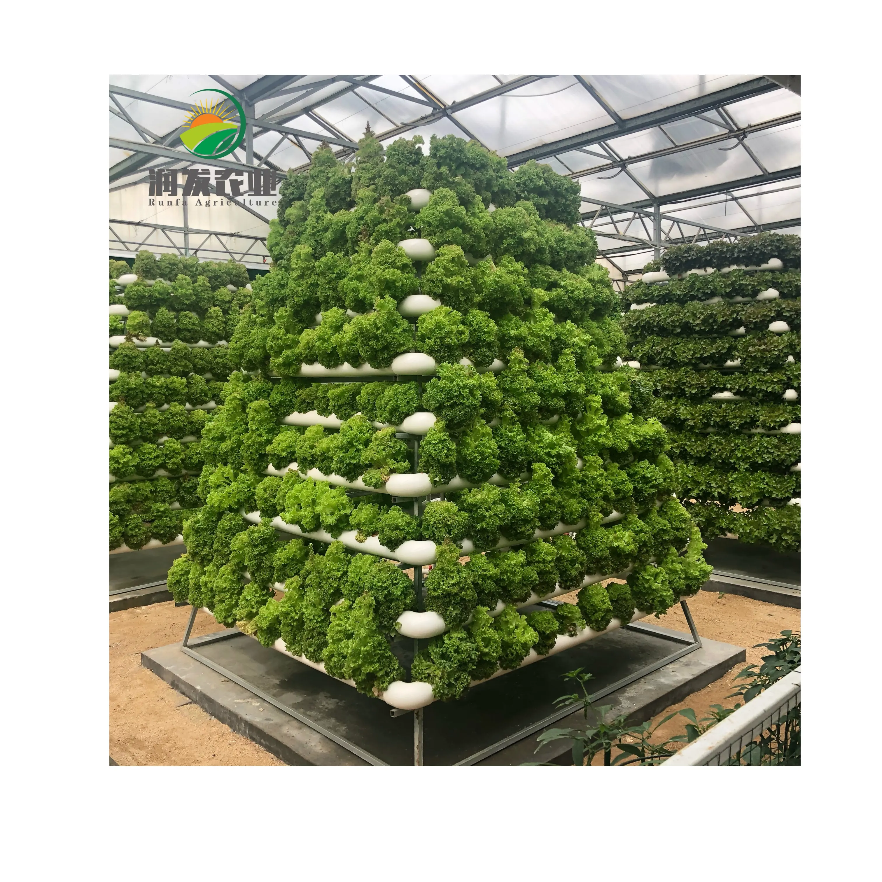 ระบบปลูกพืชไฮโดรโปนิกส์ในสวนขนาดใหญ่,ระบบปลูกพืชไฮโดรโปนิกส์แบบ16 Pot Rdwc Co2สำหรับใช้ในบ้านหลังบ้าน