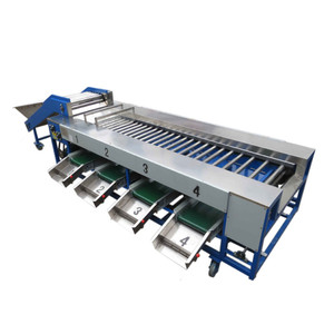 Máquina de Clasificación Industrial de frutas y verduras, clasificador de fruta y patata, máquina de clasificación de cebolla y Kiwi - Product Image 2