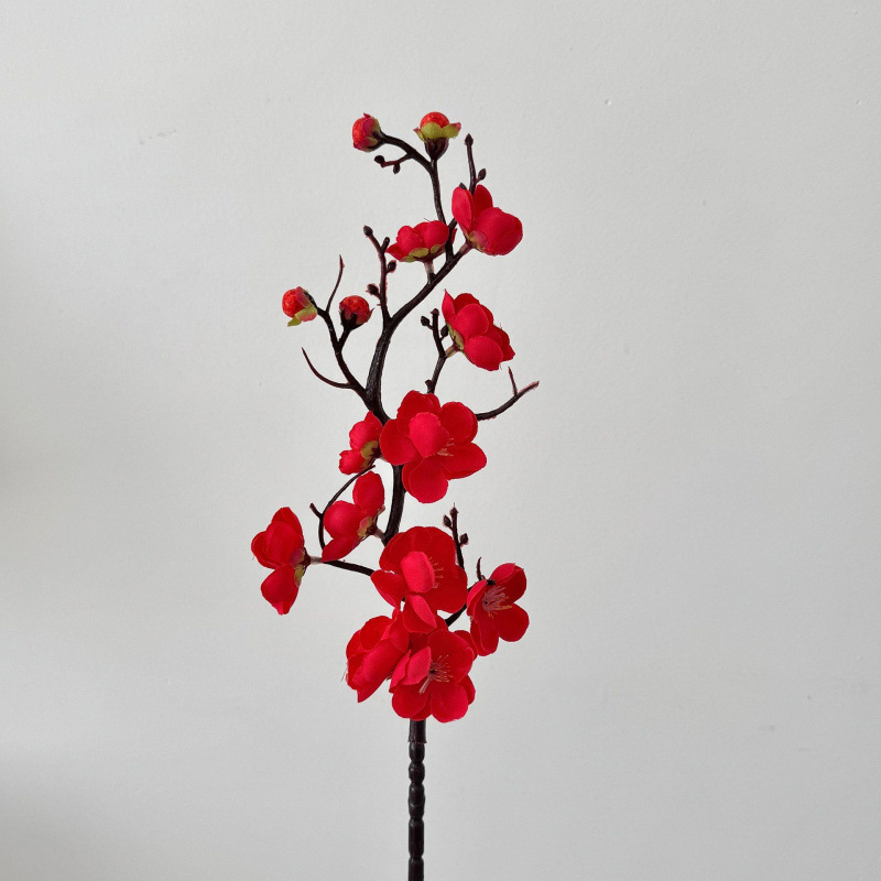Fleurs de prunier rouge sur la branche du milieu