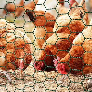 Rete metallica esagonale zincata rete metallica esagonale rete metallica esagonale rete metallica per gabbie filo spinato rete di filo di pollo - Product Image 4