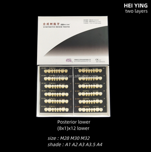 Hoge Kwaliteit Tandheelkundige Acrylhars Tanden Posterieure Twee Lagen Synthetische Hars Tanden - Product Image 4