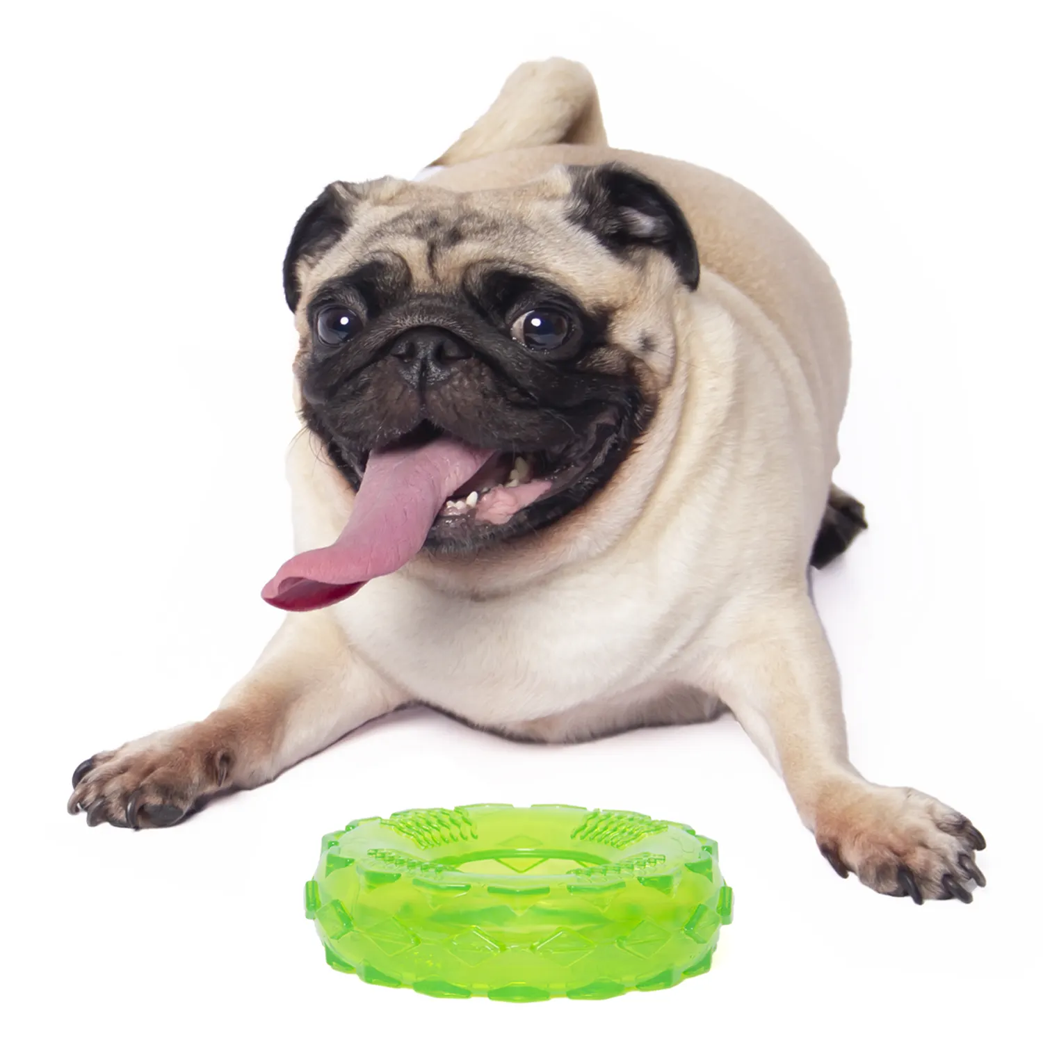 Wholesales रंगीन टिकाऊ ठोस चबाने कुत्ते के खिलौने TPR टायर + चीख़नेवाला पालतू चबाना खिलौने-ग्रीन
