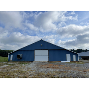 Đúc sẵn trang trại Gà nhà kết cấu thép xây dựng cho gia cầm trang trại - Product Image 2