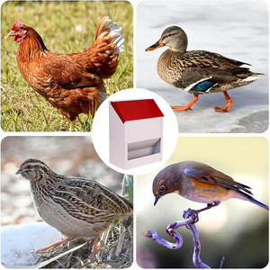 Jh-mech thiết kế chống gỉ kim loại tự động gia cầm Feeder <span class=keywords><strong>trough</strong></span> thực phẩm Dispenser thép carbon gà Feeder - Product Image 3