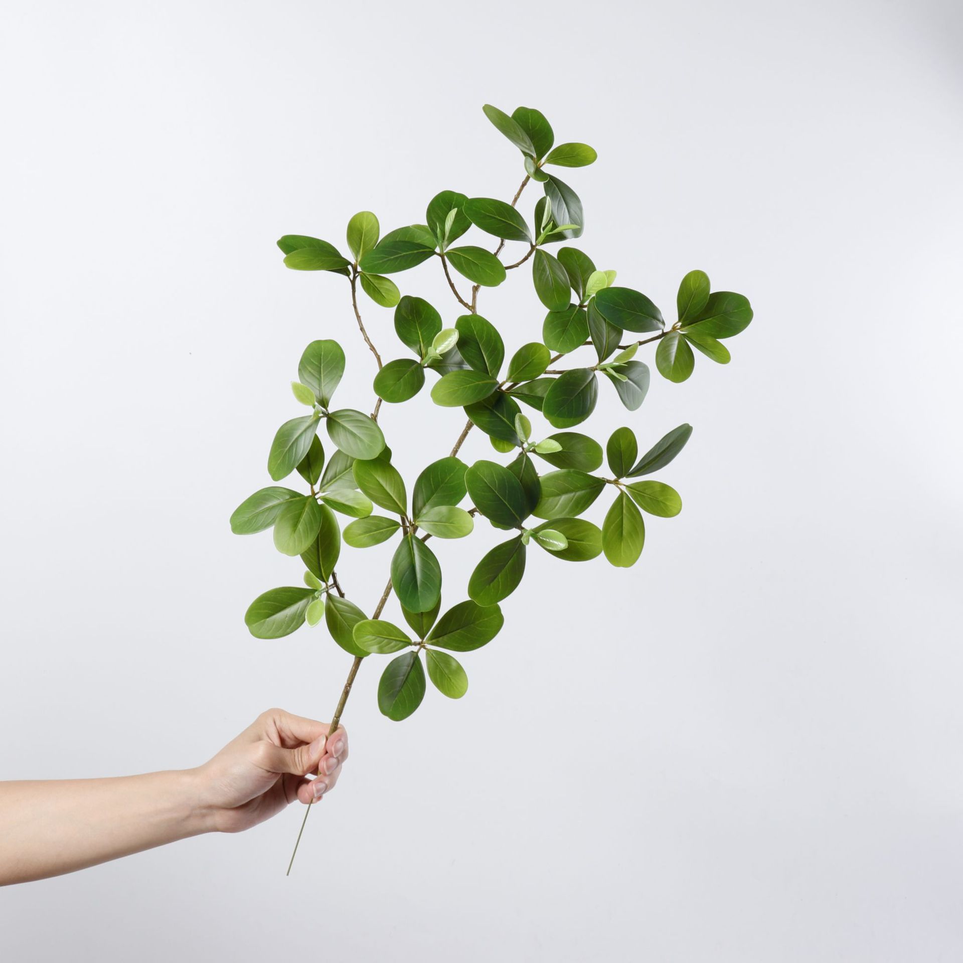 Green 50cm
