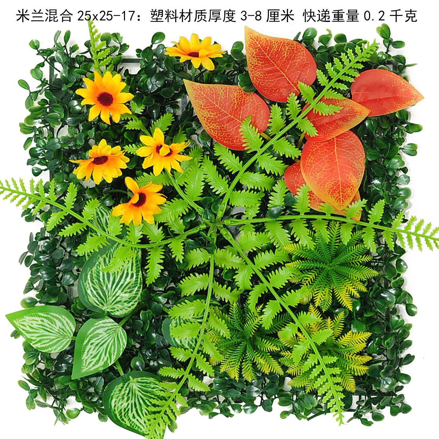25x25 cm mélange d'herbe de Milan-17