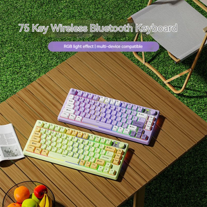 EWEADN V75 75% Teclado portátil de diseño silencioso 2,4G Inalámbrico para Bluetooth Modo dual RGB Interfaz USB Teclado de computadora New Pro