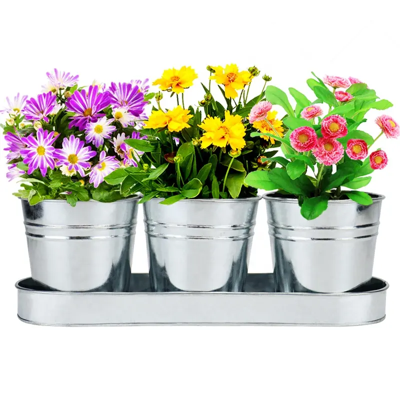 Plant Pots Set, Succulent Pots with Tray and Drain Holes - Galvanized Metal Succulent Planter Pots for Indoor Outdoor