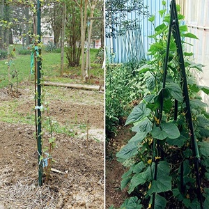 Pultruded sợi thủy tinh dính cho vườn-Sharp End sợi thủy tinh Round bar nhà Máy Giá để bán - Product Image 3