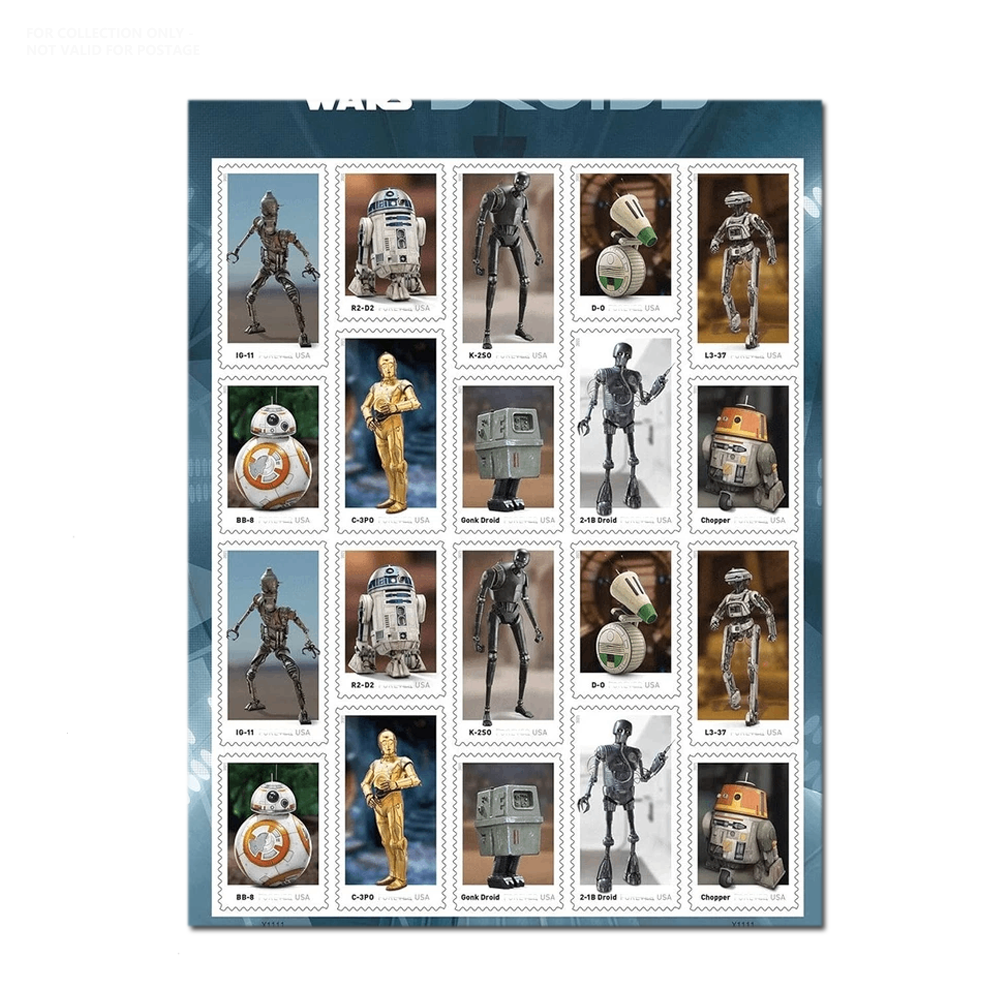 Blanc Y110 2021 W Droids