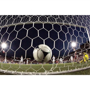 Son tasarım sıcak satış yüksek kalite yüksek dereceli ağırlıklı veya güçlü futbol sınırlama futbol eğitim ekipmanları Net - Product Image 1