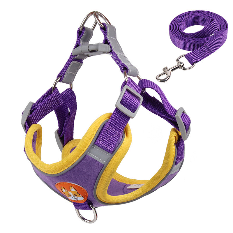 Morado-con cuerda plana de 15m de largo