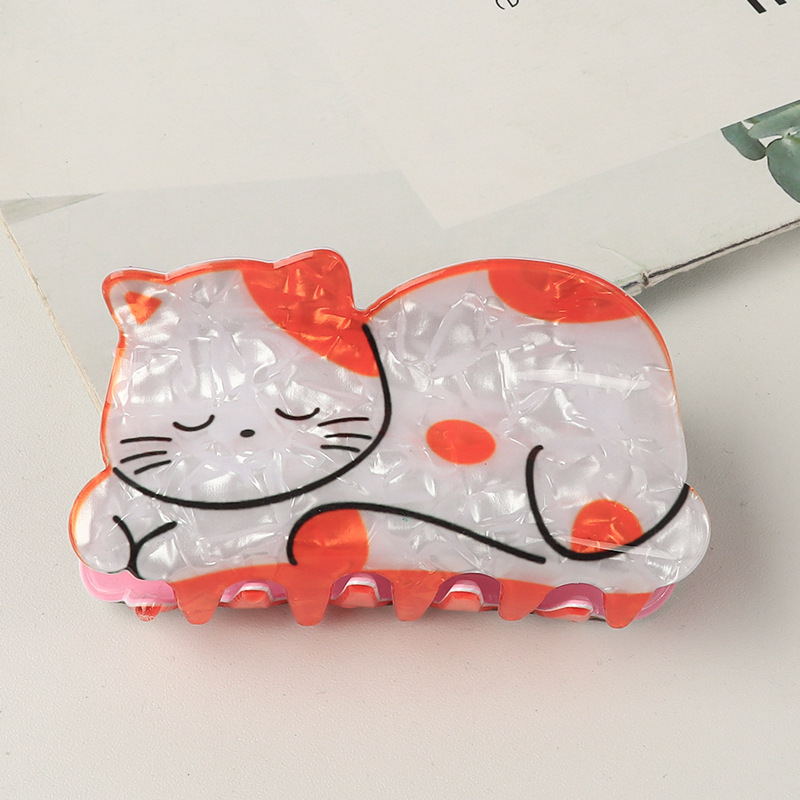 Gato Blanco Naranja