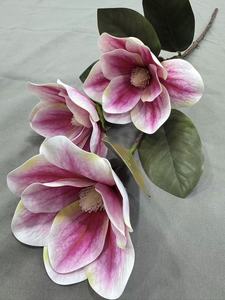 High Standard 3-prong Lily From Quality Factory - Product Image 6