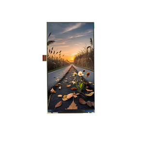TFT <strong>Lcd</strong> <strong>Display</strong> Modules 5&quot; IPS <strong>Lcd</strong> Screen 480*960 Vertical <strong>Lcd</strong> Panel with 25 Pins MIPI Interface for Machine Controller - Product Image 3