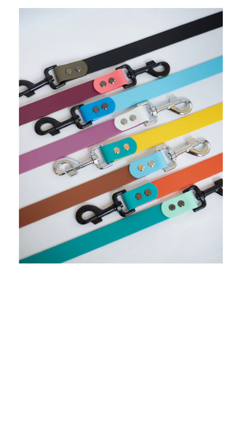 plus de couleurs