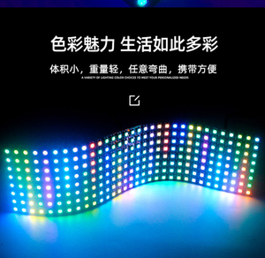 Schermo flessibile a matrice di punti Pixel LED SMD 5050-WS2815 incorporato IC DC12V 64 o 256 modulo con doppio segnale indirizzato in modo indipendente