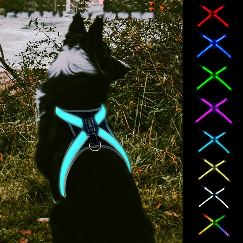 2023 New Desgin LED Dog harness luxury Pet Harness vest USB ricaricabile dog harness