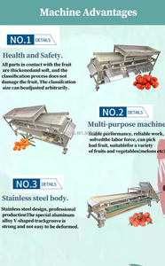 <strong>Automation</strong> <strong>Sorting</strong> <strong>Machine</strong>/Multi-Function Vibrating Screen Sorter/High Precision Sorter - Product Image 5