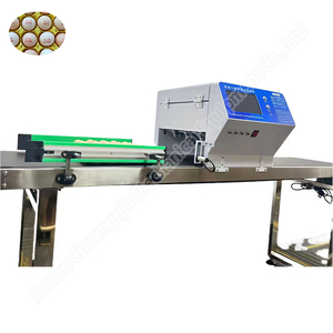 <strong>Coder</strong> With <strong>Ink</strong> Cartridge Automatic Inkjet <strong>Printer</strong> Small Full Plate Egg Code Printing Machine <strong>For</strong> Sale