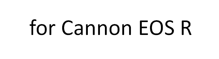 Pour Cannon EOS R
